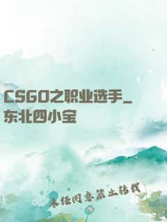 CSGO之职业选手