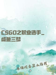 CSGO之职业选手
