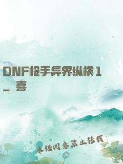 DNF枪手异界纵横1