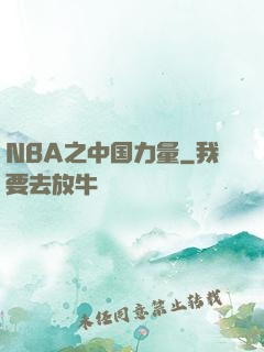 NBA之中国力量