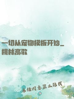 一切从宠物模板开始