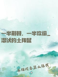 一半荆棘，一半欢愉