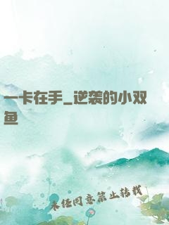一卡在手