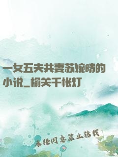 一女五夫共妻苏婉晴的小说