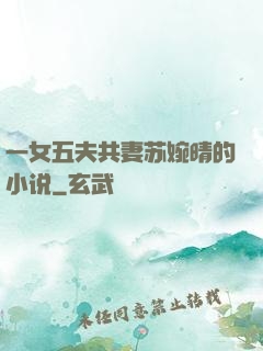 一女五夫共妻苏婉晴的小说