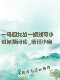 一母四女战一婿刘琴小说免费阅读