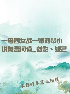 一母四女战一婿刘琴小说免费阅读