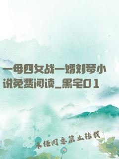 一母四女战一婿刘琴小说免费阅读