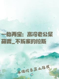 一胎两宝：高冷老公呆萌妻