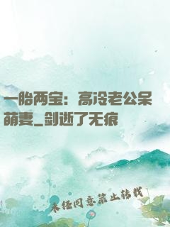 一胎两宝：高冷老公呆萌妻
