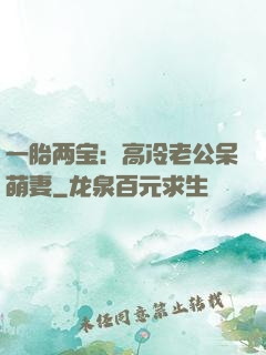 一胎两宝：高冷老公呆萌妻