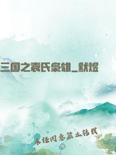 三国之袁氏枭雄