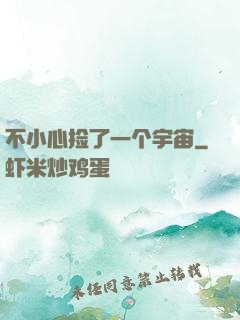 不小心捡了一个宇宙