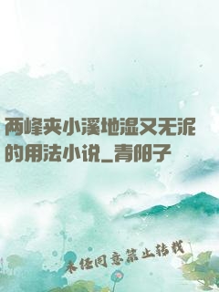 两峰夹小溪地湿又无泥的用法小说