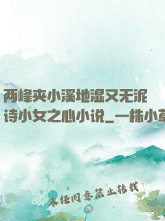 两峰夹小溪地湿又无泥诗小女之心小说