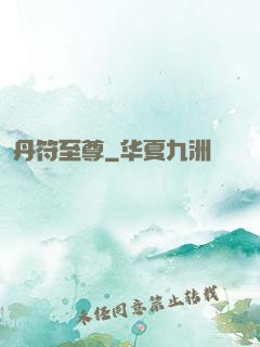 丹符至尊