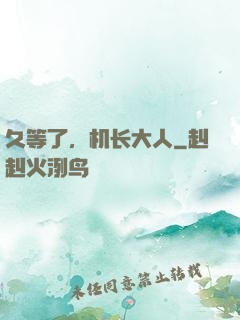 久等了，机长大人
