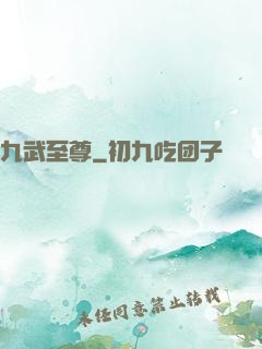 九武至尊