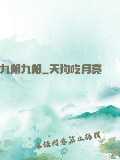 九阴九阳