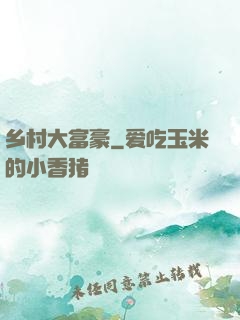 乡村大富豪