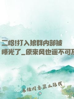 二哈!打入狼群内部被曝光了
