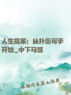 人生赢家：从扑街写手开始
