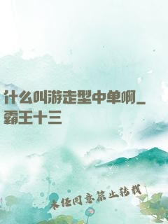 什么叫游走型中单啊