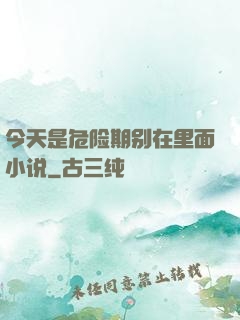 今天是危险期别在里面小说