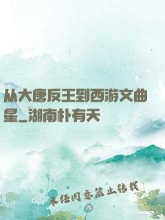 从大唐反王到西游文曲星