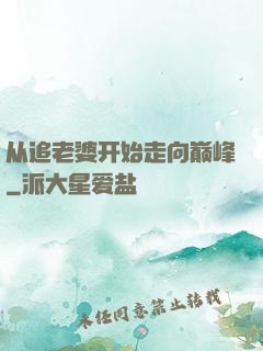 从追老婆开始走向巅峰