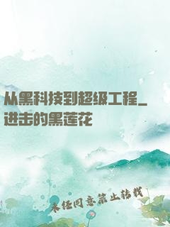 从黑科技到超级工程