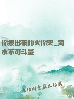 你撩出来的火你灭
