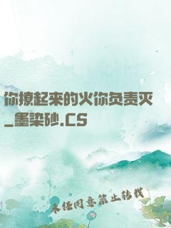 你撩起来的火你负责灭