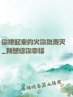 你撩起来的火你负责灭