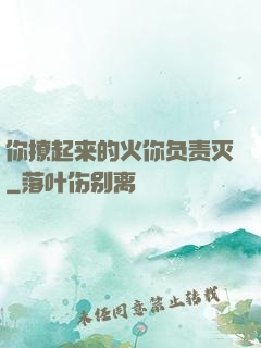 你撩起来的火你负责灭