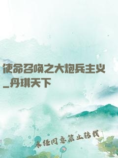 使命召唤之大炮兵主义