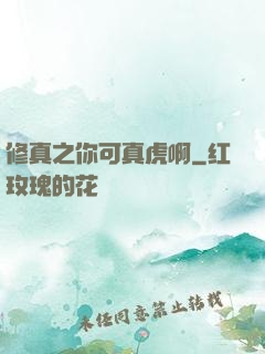 修真之你可真虎啊