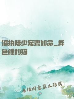 偏执陆少宠妻如命