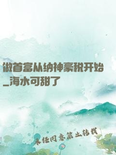 做首富从纳神豪税开始