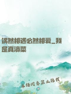 偶然相遇必然相爱