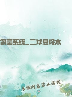 偷菜系统