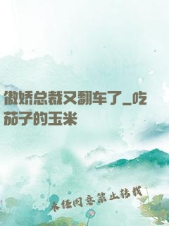 傲娇总裁又翻车了