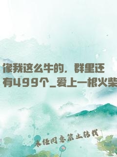 像我这么牛的，群里还有499个