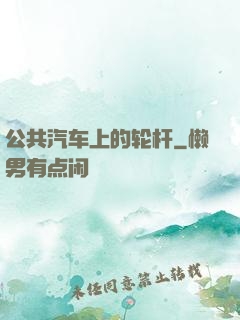 公共汽车上的轮杆