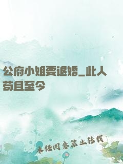 公府小姐要退婚