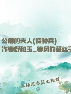公用的夫人(特种兵)作者野和玉