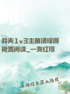 共夫1v3主角傅琛周免费阅读