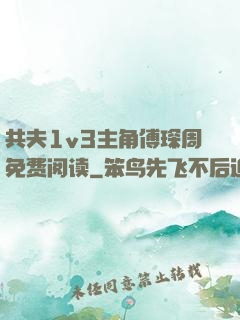 共夫1v3主角傅琛周免费阅读