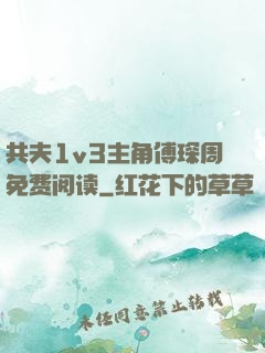 共夫1v3主角傅琛周免费阅读