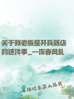 关于我老板是开兵器店的这件事